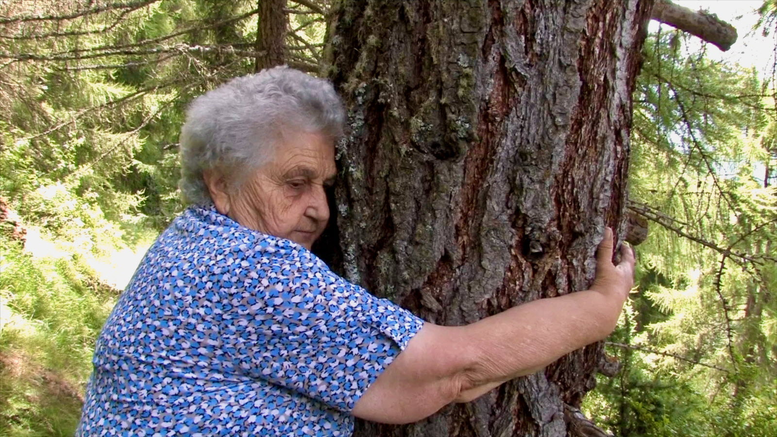 Germaine COUSIN se charge d'energie auprès d'un arbres.